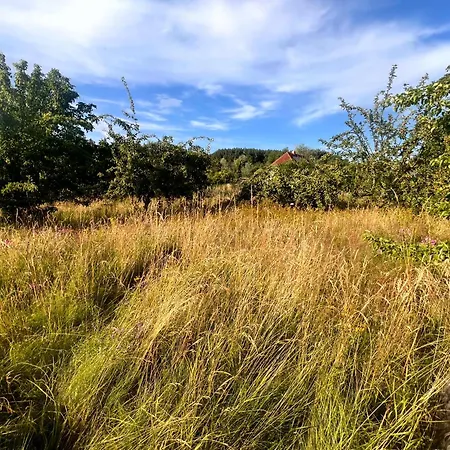 Camping Ddr Datsche Veer